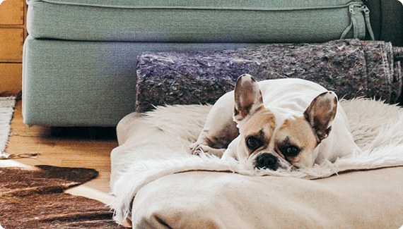 夜もスタッフが寝泊まり