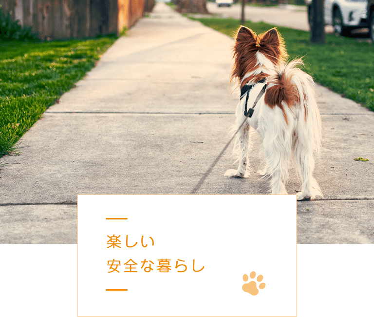 楽しい 安全な暮らし