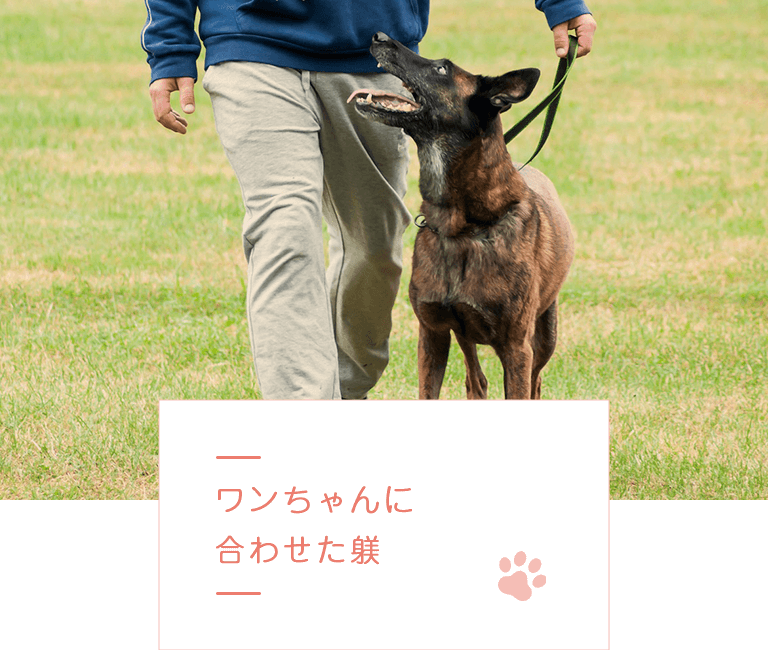 ワンちゃんに 合わせた躾