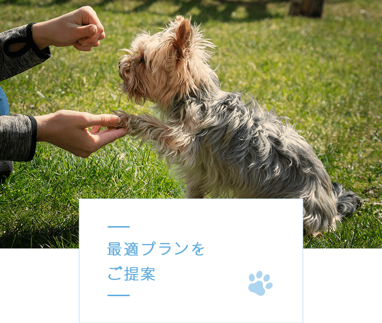 最適プランを ご提案