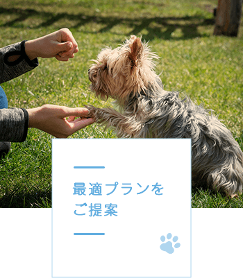 最適プランを ご提案
